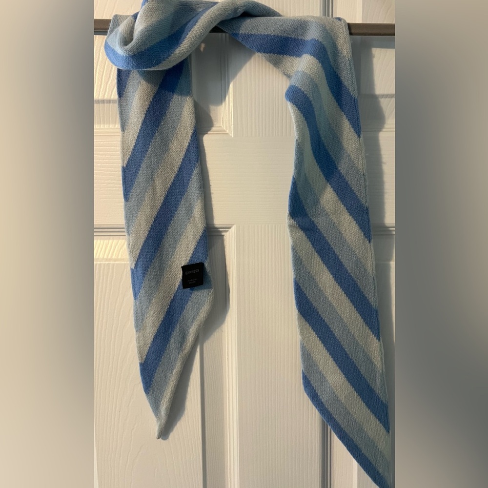 Express Cashmere Striped Scarf